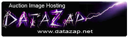 DataZap